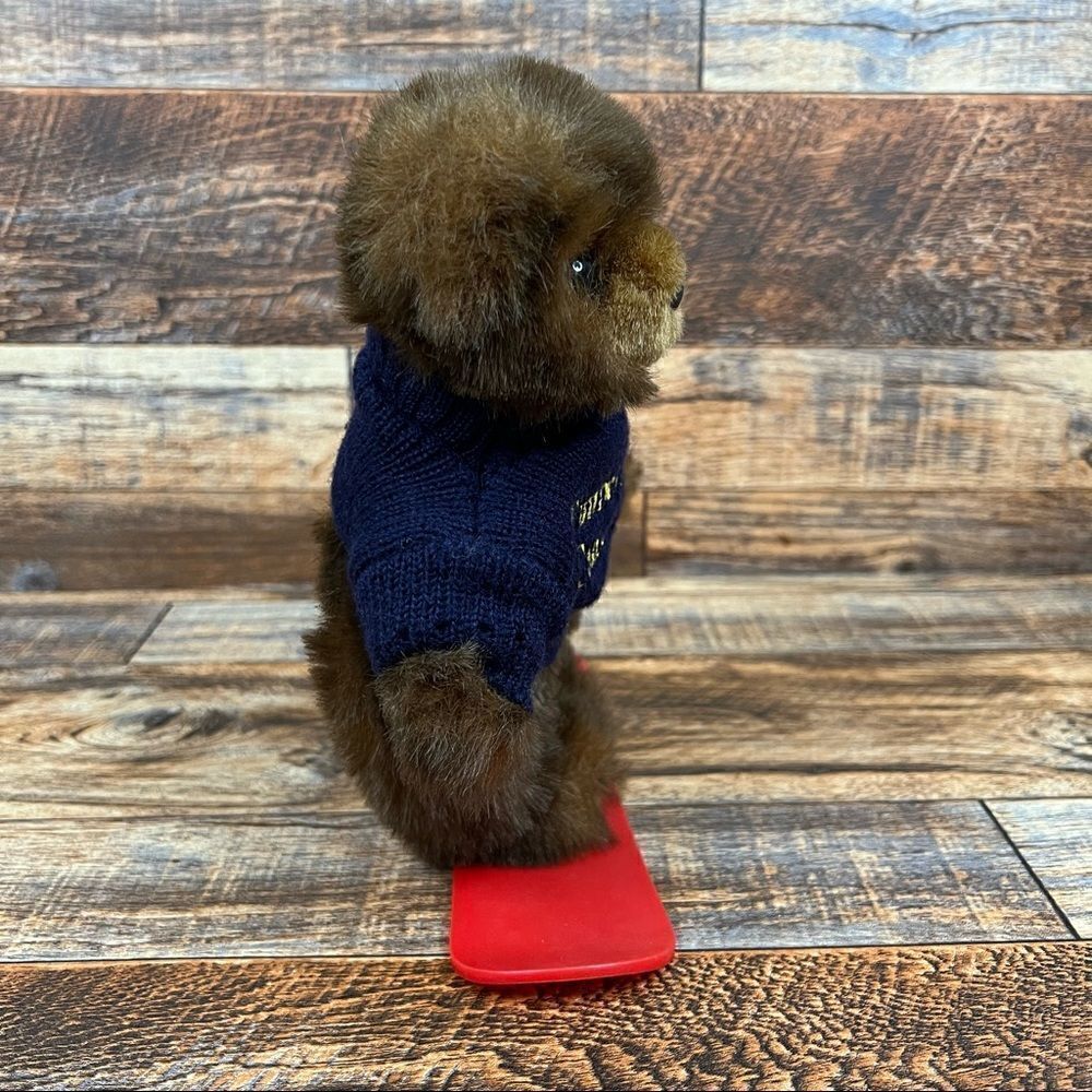 purr-fection by MJC Timberline Canaan Snowboarding Winter Teddy Bear Plush VTG - Picture 4 of 5
